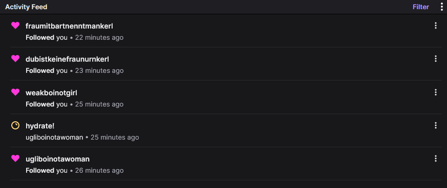 Diverse Accounts mit Namen wie "fraumitbartnenntmankerl" und "ugliboinotawoman" in meinem Activity Feed auf Twitch